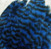������� ���� Hen feathers ������ �����